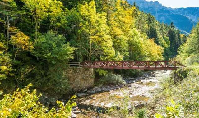 vale la pena ir a Selva de Oza