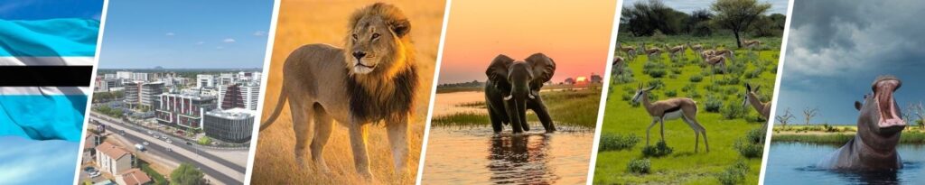 Merece la pena viajar a Botswana por libre