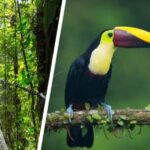 Merece la pena viajar a Costa Rica por libre