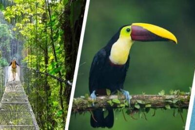 Merece la pena viajar a Costa Rica por libre
