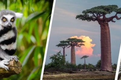 Merece la pena viajar a Madagascar por libre