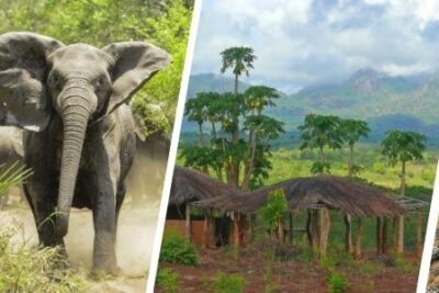 Merece la pena viajar a Mozambique por libre