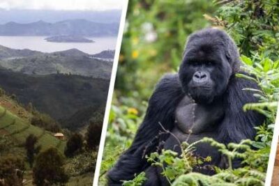 Merece la pena viajar a Ruanda por libre