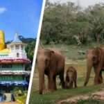 Merece la pena viajar a Sri Lanka por libre