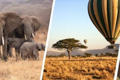 Merece la pena viajar a Tanzania por libre