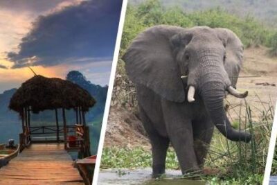Merece la pena viajar a Uganda por libre