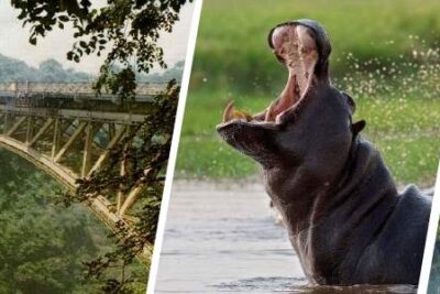 Merece la pena viajar a Zambia por libre
