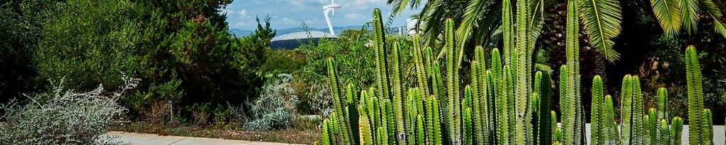Merece la pena visitar el jardín botánico de Barcelona