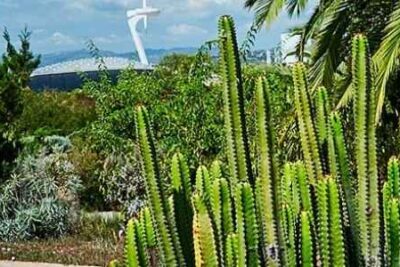 Merece la pena visitar el jardín botánico de Barcelona